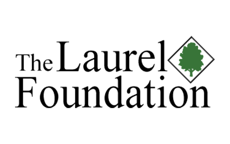 The Laurel Foundation and Genesis Global Host Local Diverse Youth at Summer Events